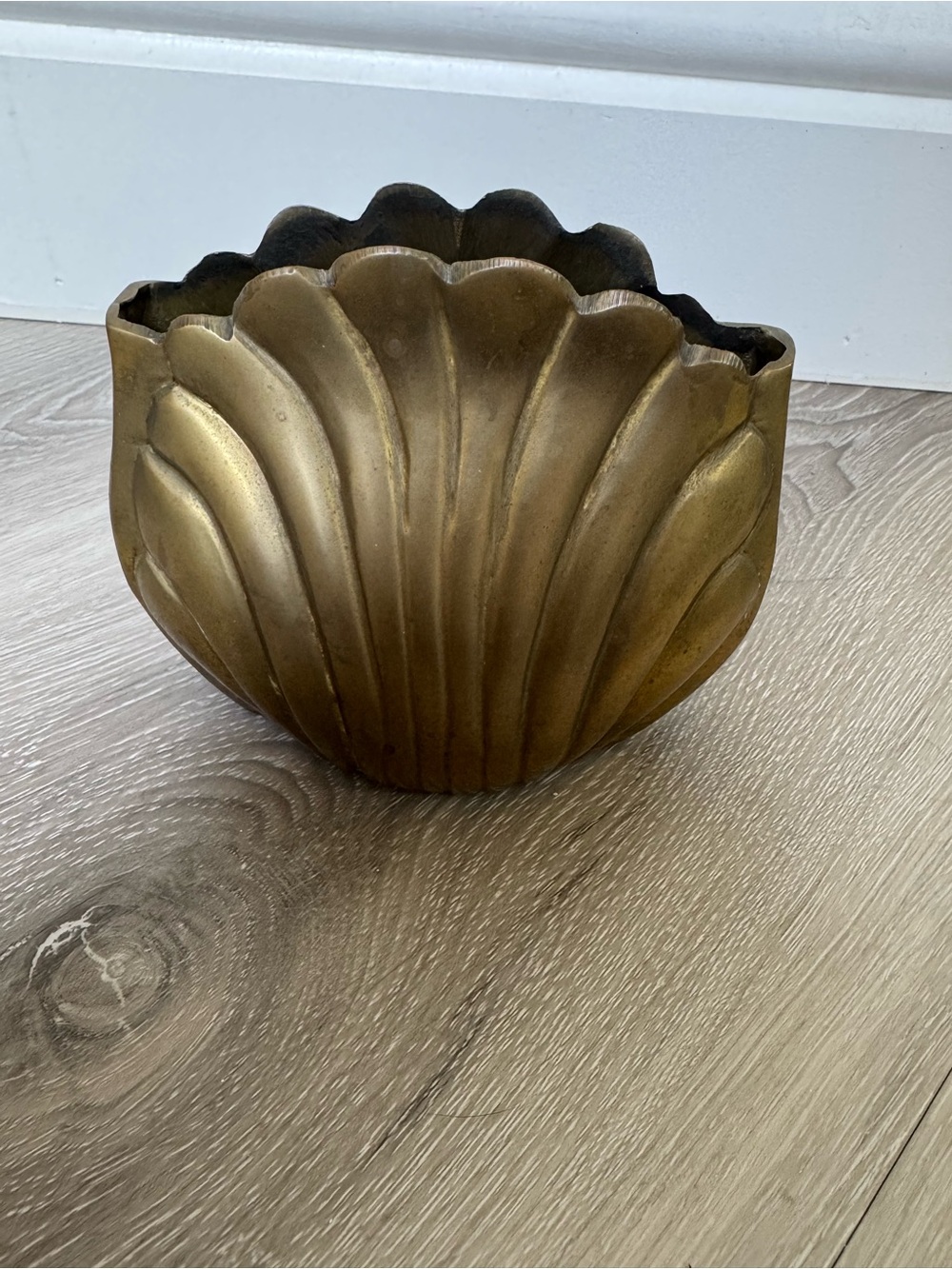 Solid Brass Shell Decorative Planter - Gold